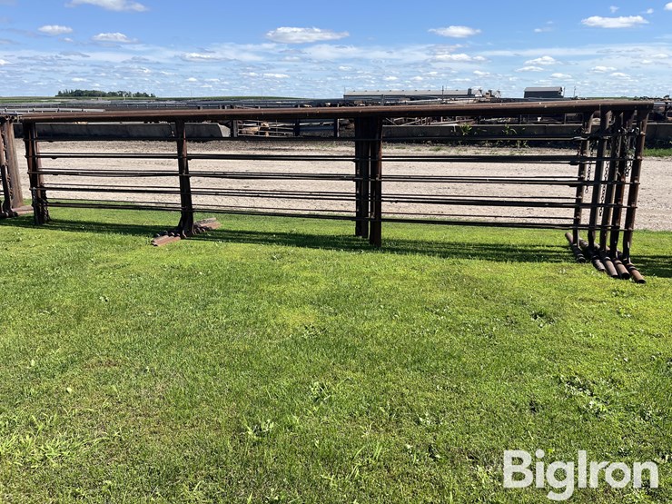 feedlot-panels-image-6