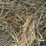 2024-mixed-grass-hay-round-bales-(bid-per-unit)-image-8