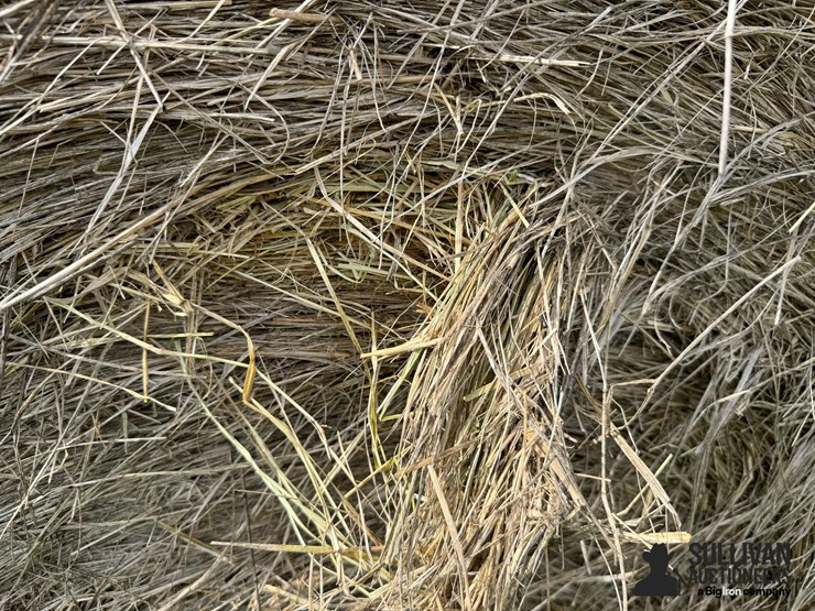 2024-mixed-grass-hay-round-bales-(bid-per-unit)-image-8