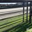 feedlot-panels-image-11