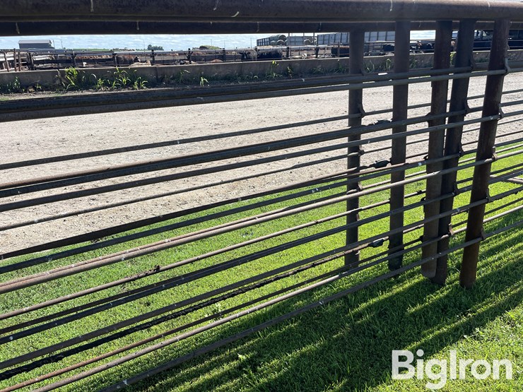 feedlot-panels-image-11