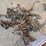 misc-gopher-traps-image-4
