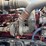 2012-kenworth-w900-image-27