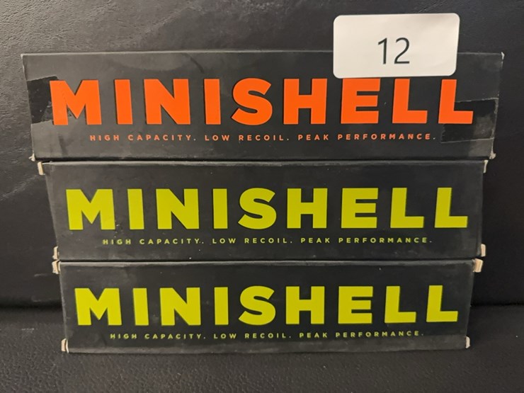 60-mini-shotshells-(ammo)-image-1