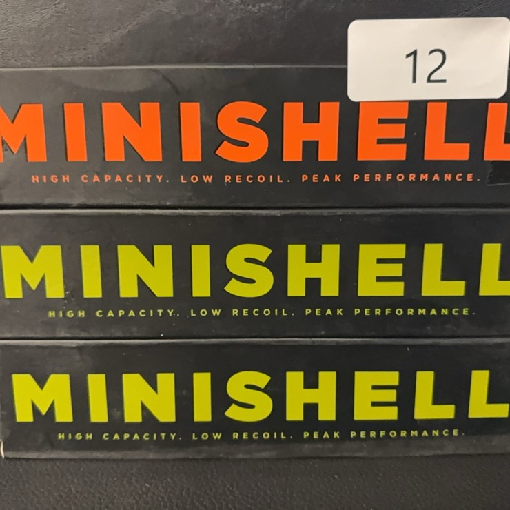 60 Mini Shotshells (Ammo)