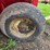 gehl-hi-throw-silage-blower,-540-pto,-working-order-last-time-it-was-used,-model:-pb88,-sn:-6256-image-5