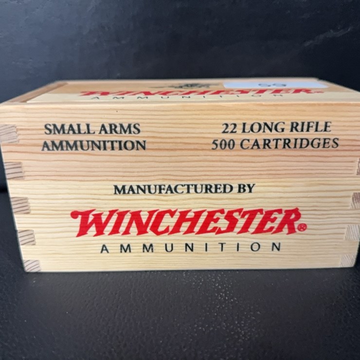 Winchester 22 LR (Ammo)