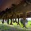 alloway-20-image-15