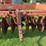 krause-1480-image-14