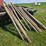 (11)-4”-wood-round-posts,-mostly-6’6”-long,-buying-all-for-one-money-image-3