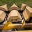 corn-head-image-5