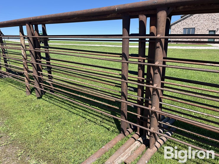 feedlot-panels-image-12