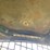 2006-john-deere-317-image-51
