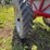 redball-680-image-18