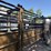 bz-welding-portable-cattle-tub/alley,-adjustable-width-alley,-slide-gates-on-both-ends-of-alley,-tub-image-13