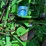john-deere-560m-image-18