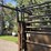 bz-welding-portable-cattle-tub/alley,-adjustable-width-alley,-slide-gates-on-both-ends-of-alley,-tub-image-14