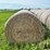 2024-mixed-grass-hay-round-bales-(bid-per-unit)-image-2