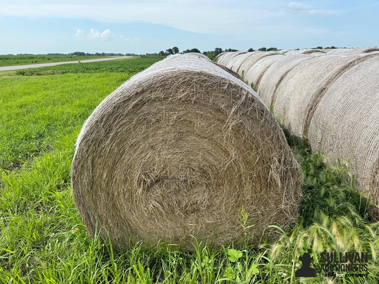 2024-mixed-grass-hay-round-bales-(bid-per-unit)-image-2