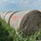 2024-mixed-grass-hay-round-bales-(bid-per-unit)-image-3