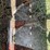 hesston-1010-image-13