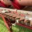 case-ih-1020-image-15