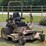 grasshopper-329-image-1