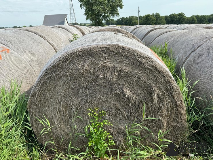 2024-mixed-grass-hay-round-bales-(bid-per-unit)-image-6