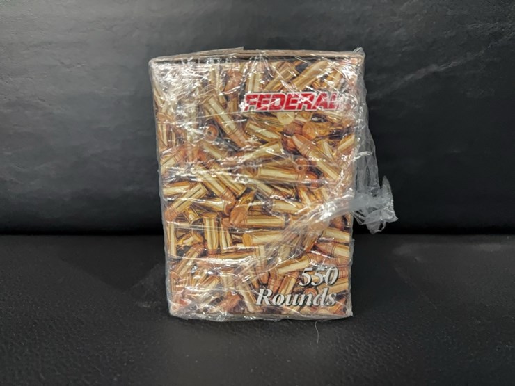 federal-22-(ammo)-image-2