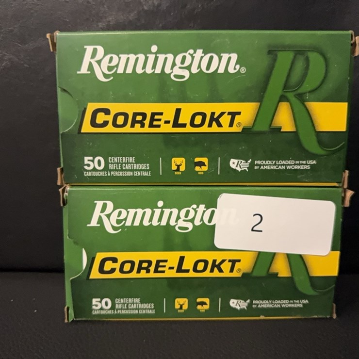 25-20 Win (Ammo)