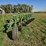 john-deere-6-image-6