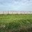 2024-mixed-grass-hay-round-bales-(bid-per-unit)-image-13