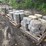 approx-81-landscaping-blocks-image-1