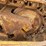 2019-caterpillar-d6-image-14