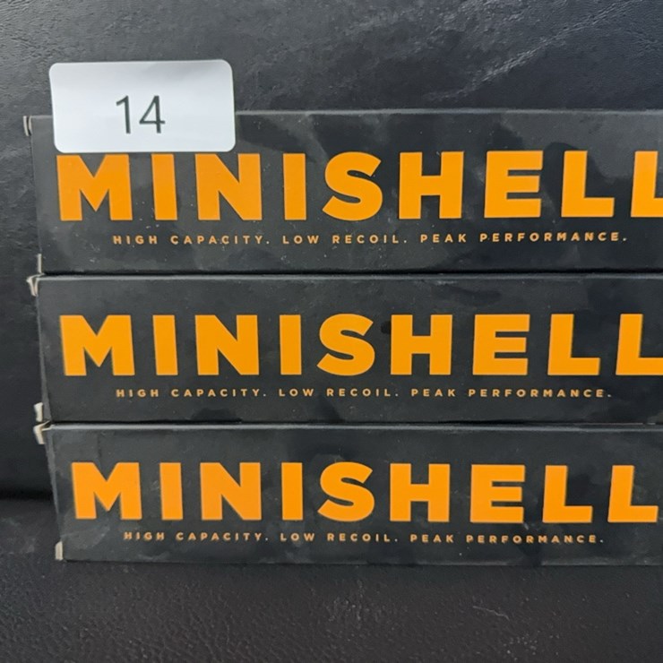 60 Mini Shotshells (Ammo)
