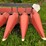 case-ih-1083-image-5