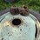 (2)-18.4-38-tires-on-10-bolt-hub-duals,-will-fit-ih-1066,-1086,-3388-and-more-image-3