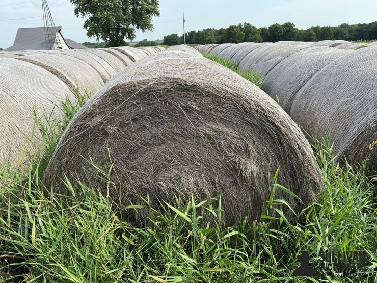 2024-mixed-grass-hay-round-bales-(bid-per-unit)-image-5