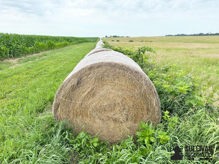 2024-mixed-grass-hay-round-bales-(bid-per-unit)-image-2