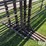 feedlot-panels-image-10