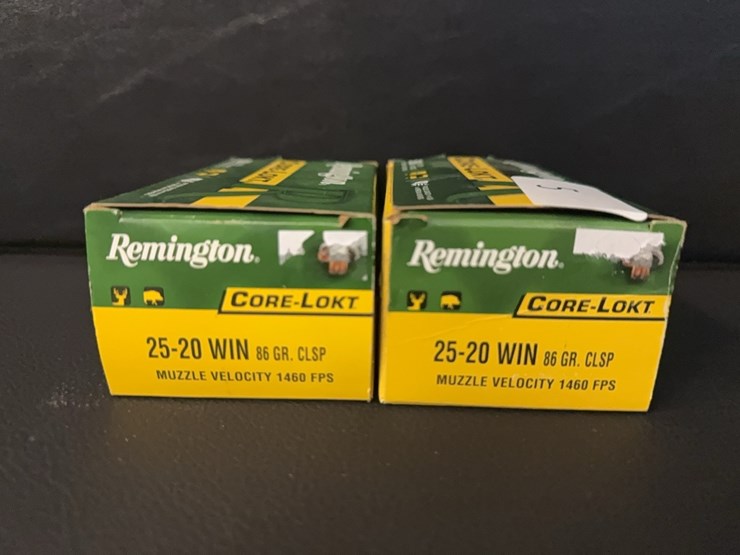 25-20-win-(ammo)-image-2