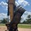 caterpillar-320fl-image-19
