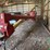 2013-westfield-10x61-image-3