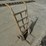 thomas-hand-truck-cart-image-5