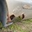 2003-ford-f350-image-15