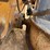 2015-deere-700k-lgp-image-10