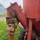 new-holland-355-image-21