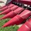 1998-case-ih-1063-image-16