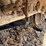2020-caterpillar-308-cr-image-10