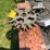 planter-spike-closing-wheels-image-9